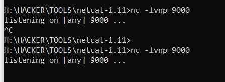 image-20240515181851893