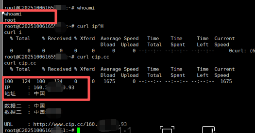 image-20251217144352891